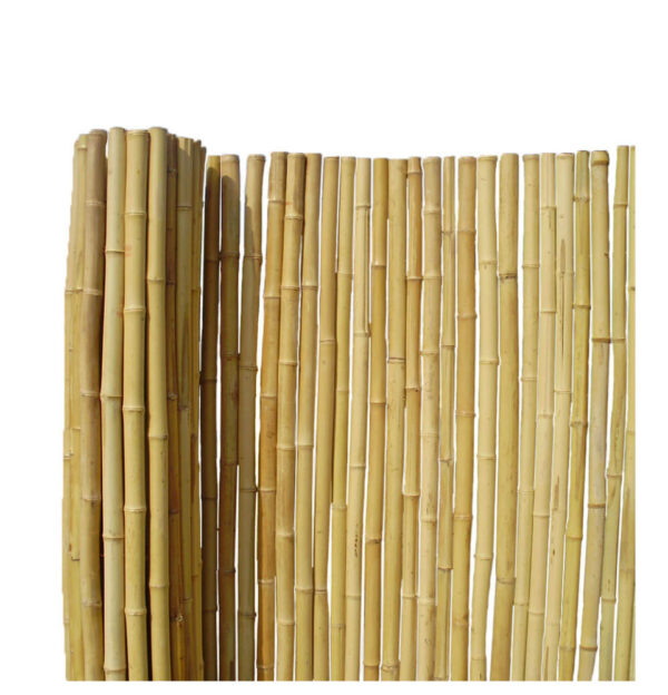 Canisse bambou rond