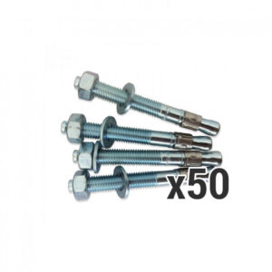 Lot de 50 Chevilles 12/100