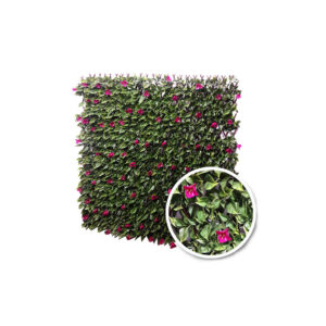 Treillis Extensible Bougainvilliers