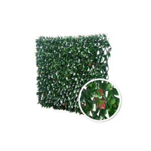 Treillis Extensible Photinia