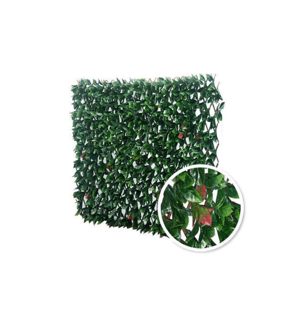 Treillis Extensible Photinia