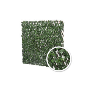 Treillis Extensible Vigne Vierge