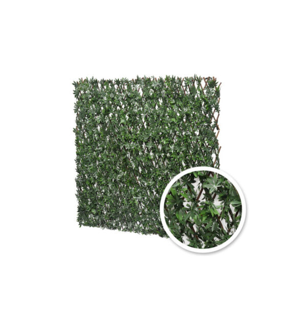 Treillis Extensible Vigne Vierge